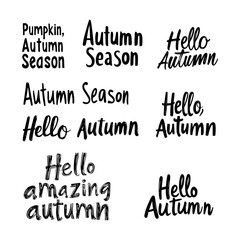 Vector set of Autumn lettering isolated on white background. Hello Autumn, Pumpkin season, Autumn season