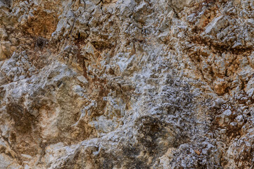 Close-up of textured rock surface showcasing natural patterns and colors under sunlight in a remote outdoor area