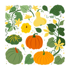 Vector seamless pattern with pumpkin, flowers, oak and maple leaves on white background. Perfect for wallpaper, gift paper, autumn greeting cards.