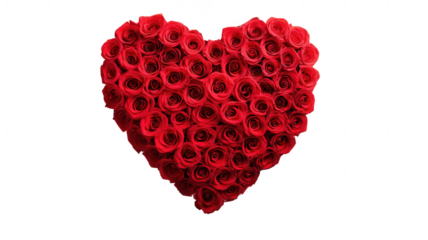 heart shape red roses arranged on transparent background