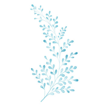 Ramo, folhas, planta, delicado, aquarela, azul, elemento, ornamento, minimalista, amor, afeto, natureza, natural, arte, ilustra&ccedil;&atilde;o, isolado, primavera, ver&atilde;o, fresco, galho, folha, silhueta, flor