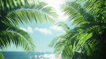 Fototapeta premium A close-up of a palm tree on a beach with the ocean in the background and a bright blue sky