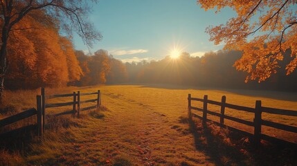 Bright sunlight breaks through the trees, casting a warm glow over an open field surrounded by vibrant autumn foliage and a rustic wooden fence.