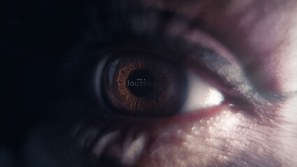 Closeup of a brown eye with lashes and shallow depth of field