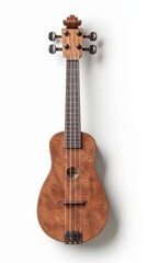 Naklejka premium A dulcimer clipart, Appalachian instrument element, rustic look, isolated on white background