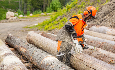 Lumberjack logger worker in protective gear cutting firewood timber tree in forest with chainsaw. Male tree surgeon sawing tree trunk using chainsaw in forest. Arborist cutting a tree a chainsaw