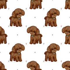 Cute little brown puppy poodle seamless pattern on transparent background