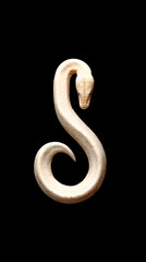 Obraz premium snake on a black