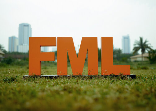 the letters FML as a concept for facing difficulties in life, photographic style of 3D letters in a field, simple background early afternoon