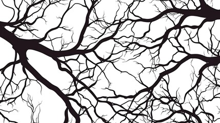 Obraz premium Black and white silhouette of tree branches against a white background.