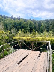 Black Lake is a picturesque gem nestled within the stunning landscapes of Tustan, showcasing the breathtaking beauty of Ukrainian nature surrounded by lush forests and serene waters.
