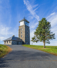 Quabbin Hill Tower and an evergreen tree