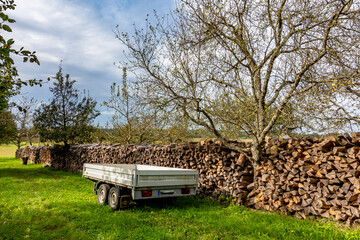 Brennholz lagert auf einer Streuobstwiese