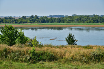 Summer countryside landscape with trees and pond in Russia