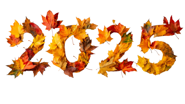 2025 number made out of autumn orange leaves on transparent backgroun
