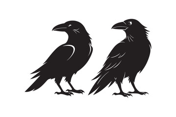 Raven silhouette  vector illustration, Raven silhouette  vector