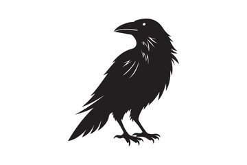 Raven silhouette  vector illustration, Raven silhouette  vector