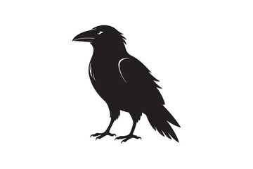 Obraz premium Raven silhouette vector illustration, Raven silhouette vector