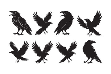 Raven silhouette  vector illustration, Raven silhouette  vector