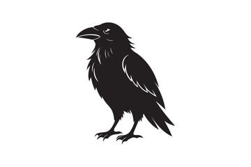 Raven silhouette  vector illustration, Raven silhouette  vector