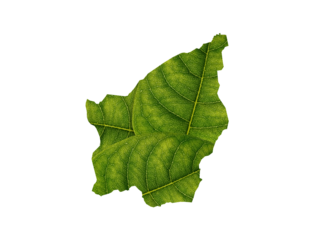  San Marino map made of green leaves on White background ecology concept
