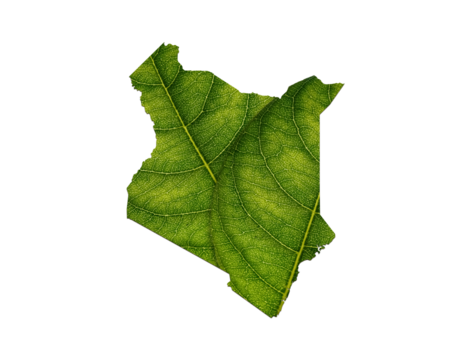 Kenya map made of green leaves on White background ecology concept

