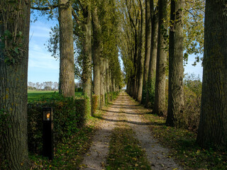 Fototapeta premium De Hulshof , Bronkhorst, Gelderland province, The Netherlands