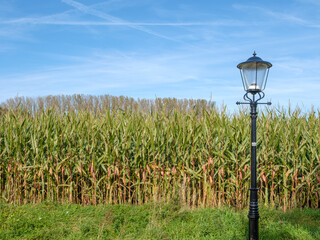 Onderstraat Bronkhorst, Gelderland province, The Netherlands