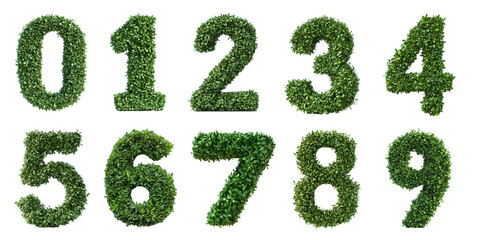 Green hedge set shaped like the numbers zero, one, two, three, four, five, six, seven, eight and nine isolated or on a white background