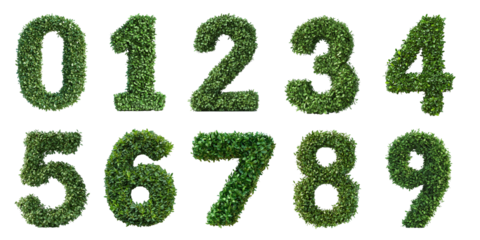 Green hedge set shaped like the numbers zero, one, two, three, four, five, six, seven, eight and nine isolated or on a white background