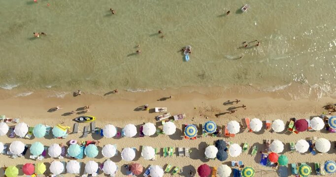 Perpendicular aerial view of the public beach of Pescoluse in Salento, Puglia, Italy.This beach is called the Maldives of Salento. There are many umbrellas and people on vacation on this sandy beach.