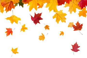 falling autumn leaves isolated or on white background. falling fall leaves. autumn leaves as design element