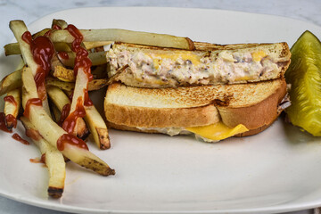tuna melt sandwich    served with homade french fries