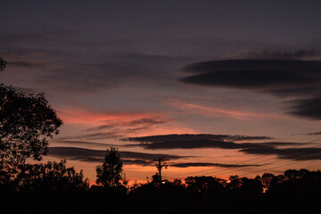 anochecer en el campo