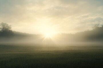 Sunbeams Shining Through Fog Over a Meadow