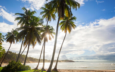 Tropical beach