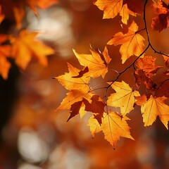 Fototapeta premium autumn leaves webpage banner image