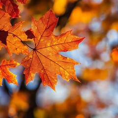 Fototapeta premium autumn leaves webpage banner image