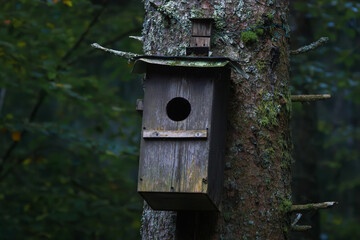 bird house on a tree