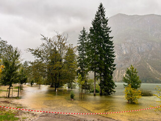 flooded forest road. overflowing lake. flood. deluge. washed-out road. weather. environmental...
