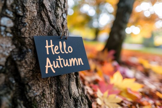 Hello Autumn handwritten note pinned to a tree