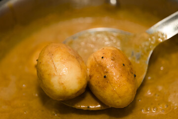 Golden Egg Curry Delight