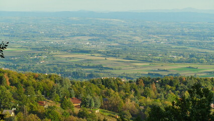 Fototapeta premium landscape with trees and mountains