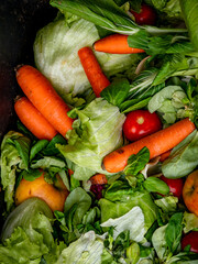 Obst und Gemüse Reste zur Tierfütterung