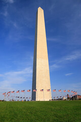 Washington Monument with American flags waving around and green grass on the foreground, District of Columbia, USA