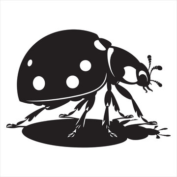 black ladybug crawling on white background clip art preview
