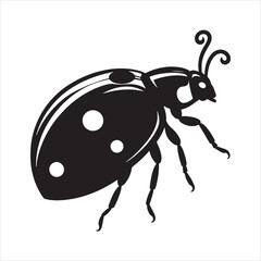 Fototapeta premium ladybug silhouette on white background 