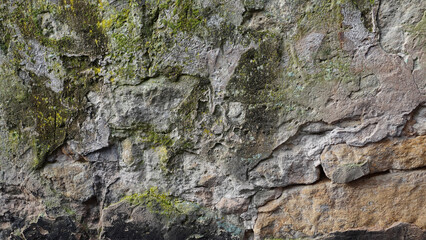 Textured Rock Surface With Lichen and Moss in Natural Setting