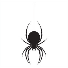 Spider silhouette on white background
