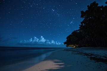 Tranquil Beachscape Under a Starry Night Sky